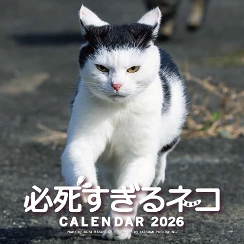 購入者限定特典つき】2026 必死すぎるネコカレンダー – 辰巳出版